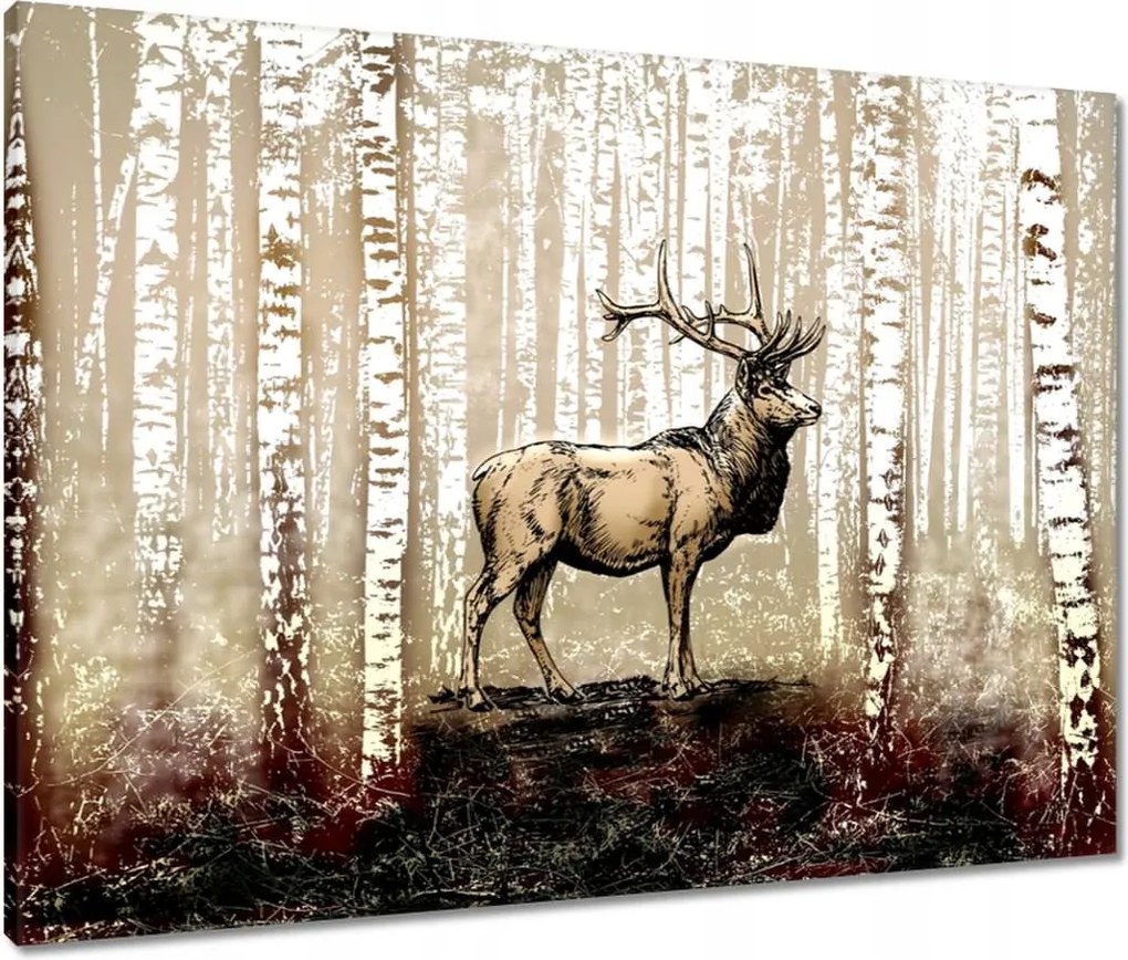 Vászonkép 80x60 Szarvas Nyírfa Erdő