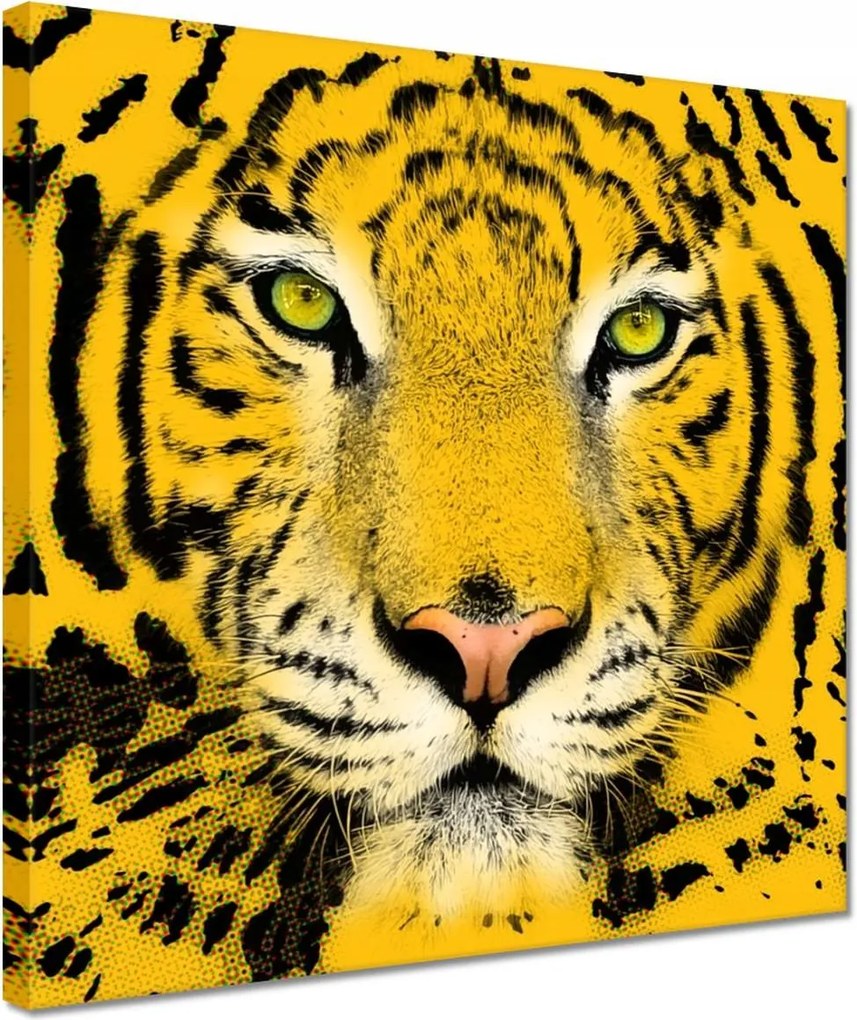 Vászonkép 30x30 Tigris Tigrisfej
