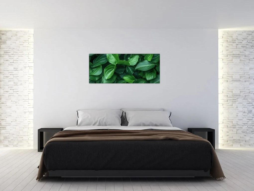Kép - Zöld levelek (120x50 cm)