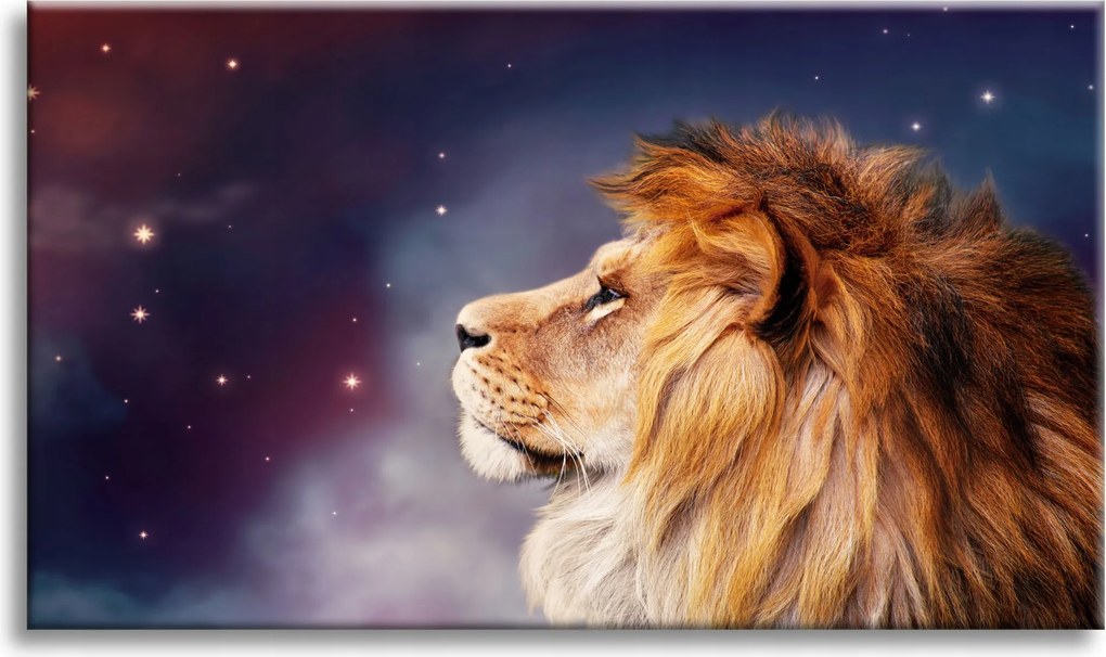 Vászonkép Oroszlán arca a csillagok között 100x80 cm Ideális ajándék