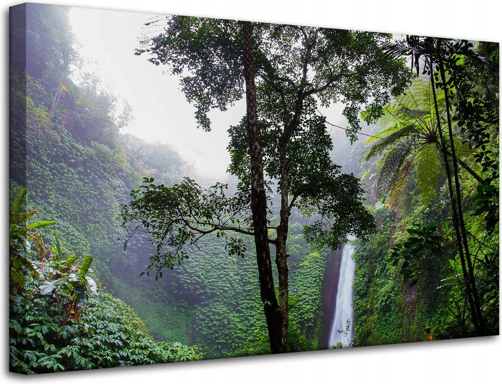 Vászonkép Canvas Natura Trópusi erdő Eső 80x50 cm