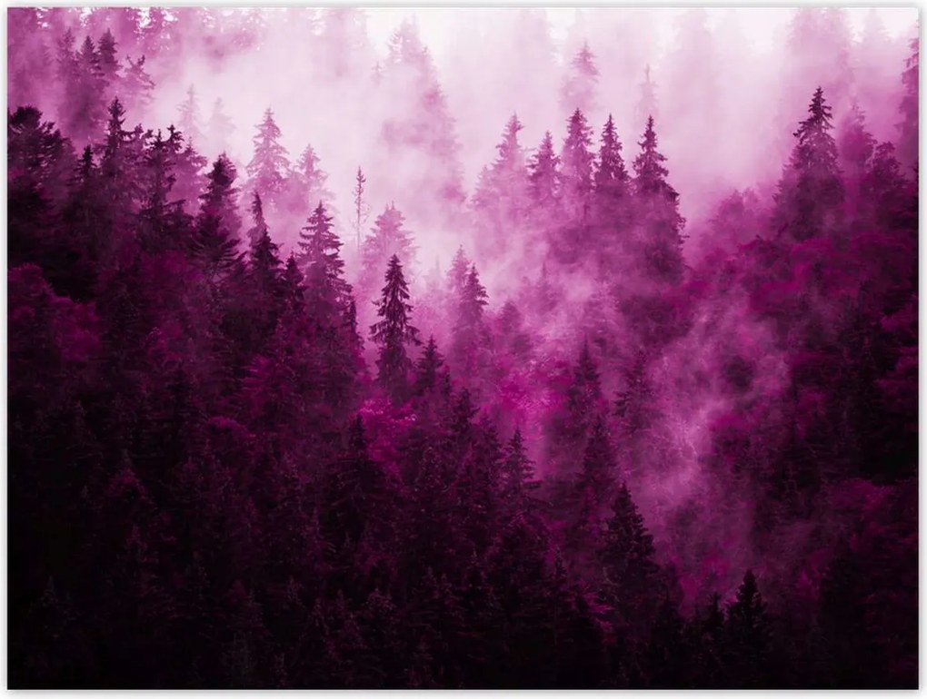 Poszterek 40x30 Tájkép Rózsák Hegyek Köd