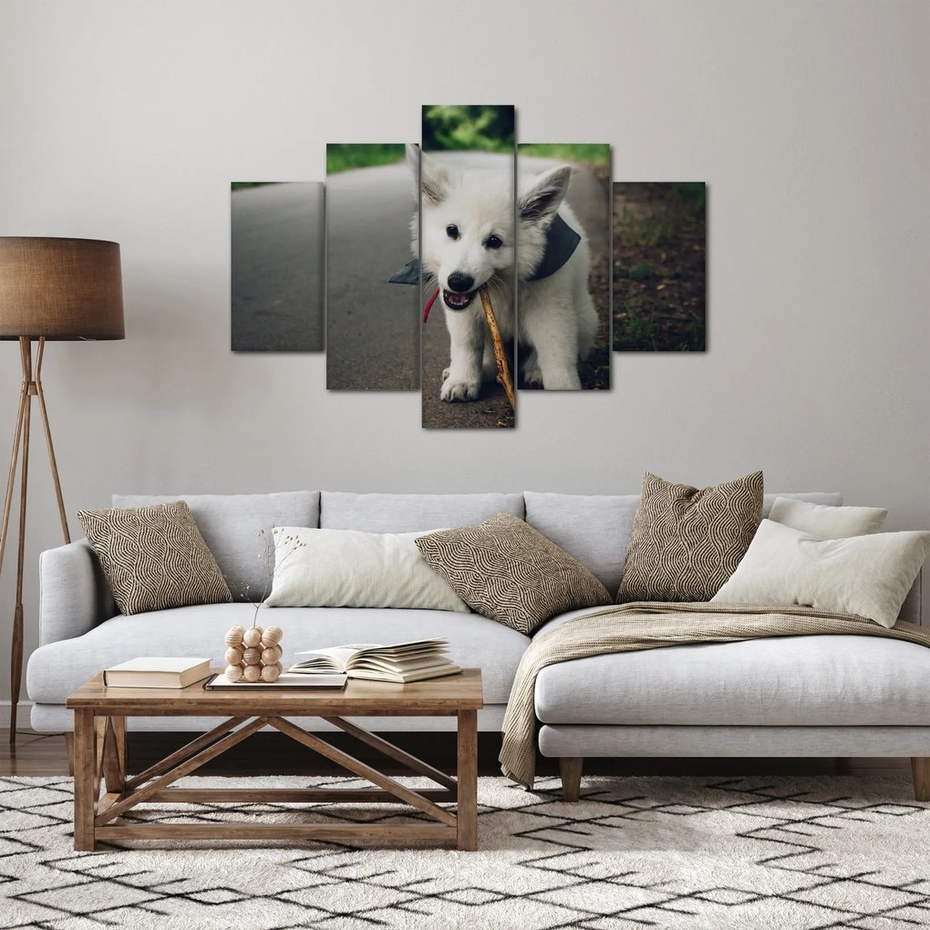 Egy fehér kutya képe (150x105 cm)