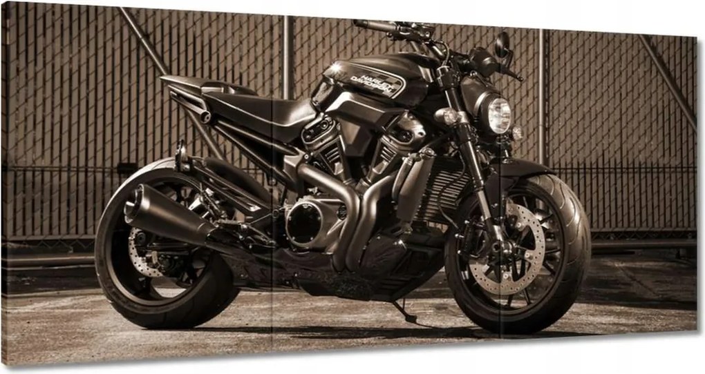 Képek 180x90 Harley Davidson Motorkerékpár