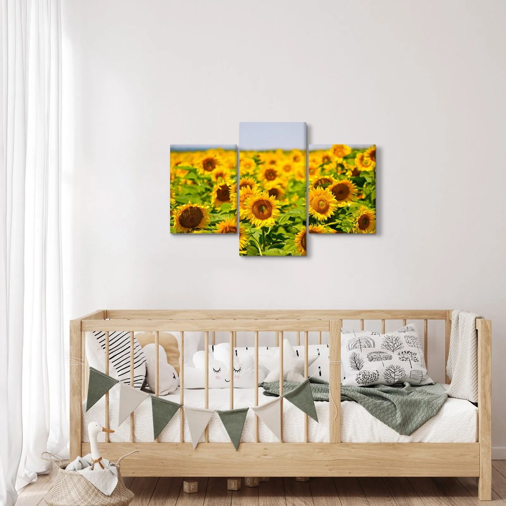 Kép - Napraforgók (90x60 cm)