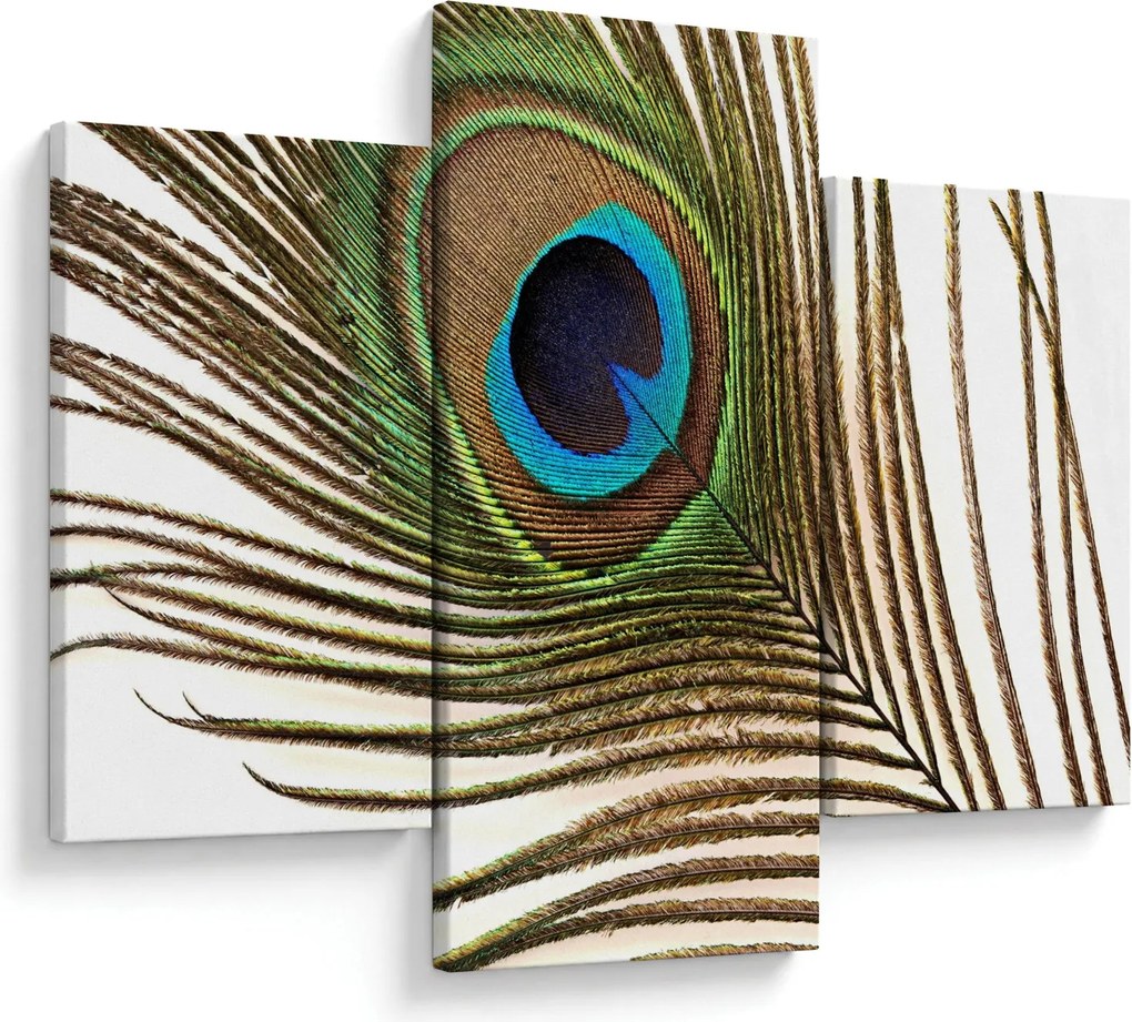 Pávatoll képe (90x60 cm)