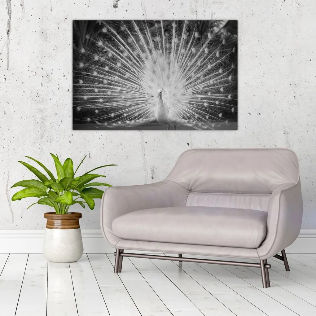 Kép - Fehér páva (90x60 cm)