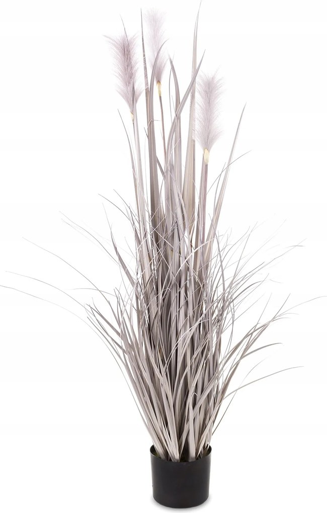 Bézs Szürke Fű Növény Dekoratív Nagy Hálószoba Nappali Dekoráció