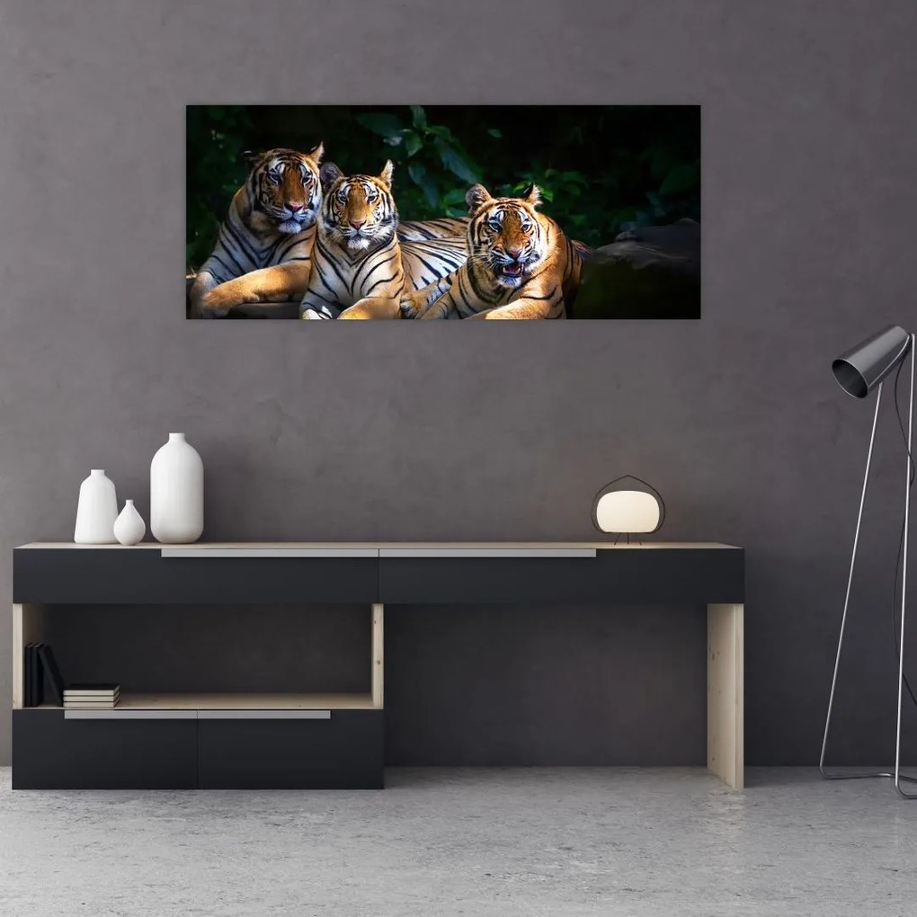 Kép - Tigris testvérek (120x50 cm)