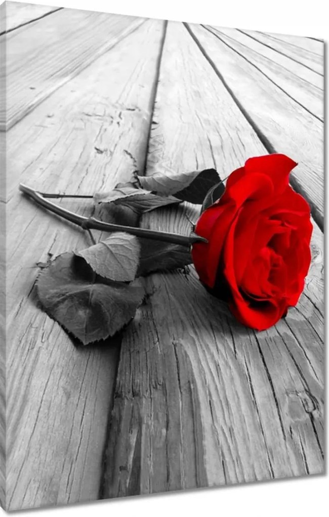Vászonkép 60x80 Vörös rózsa a deszkákon