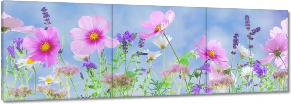 Vászonkép 150x50 Finom virágok