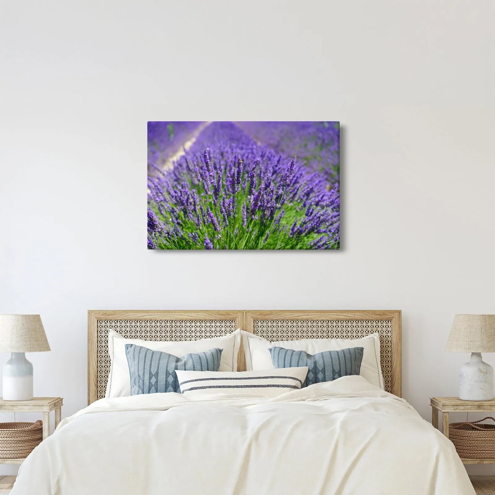 Kép - levandula (90x60 cm)