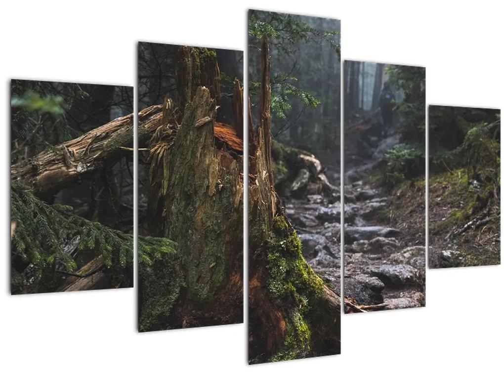 Kép - Az erdőben (150x105 cm)