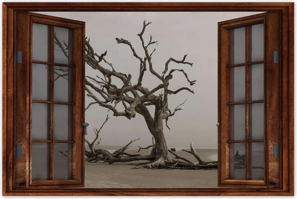 Poszterek 90x60 Fa Kilátás