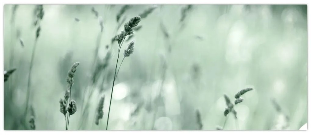Kép - Zöld rét (120x50 cm)