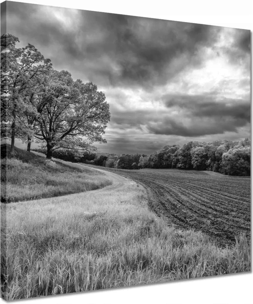 Vászonkép 40x40 Fekete-fehér mező