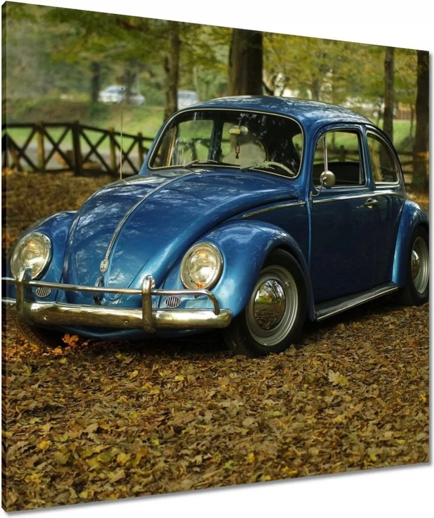 Vászonkép 90x90 Bogár Vw autó]