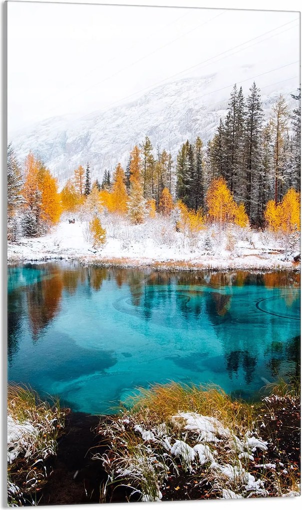 Üveg Vágódeszka 30x52 Kilátás a Konyhába