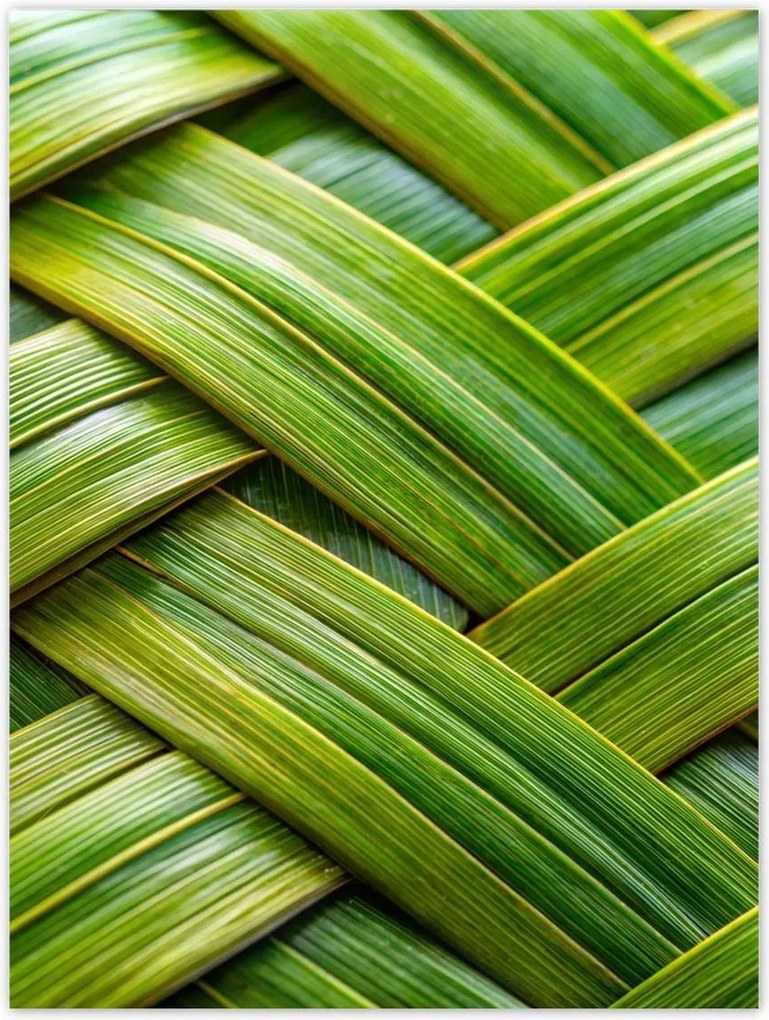 Poszterek 30x40 Zöld fonott zöld rattan fonott lemez