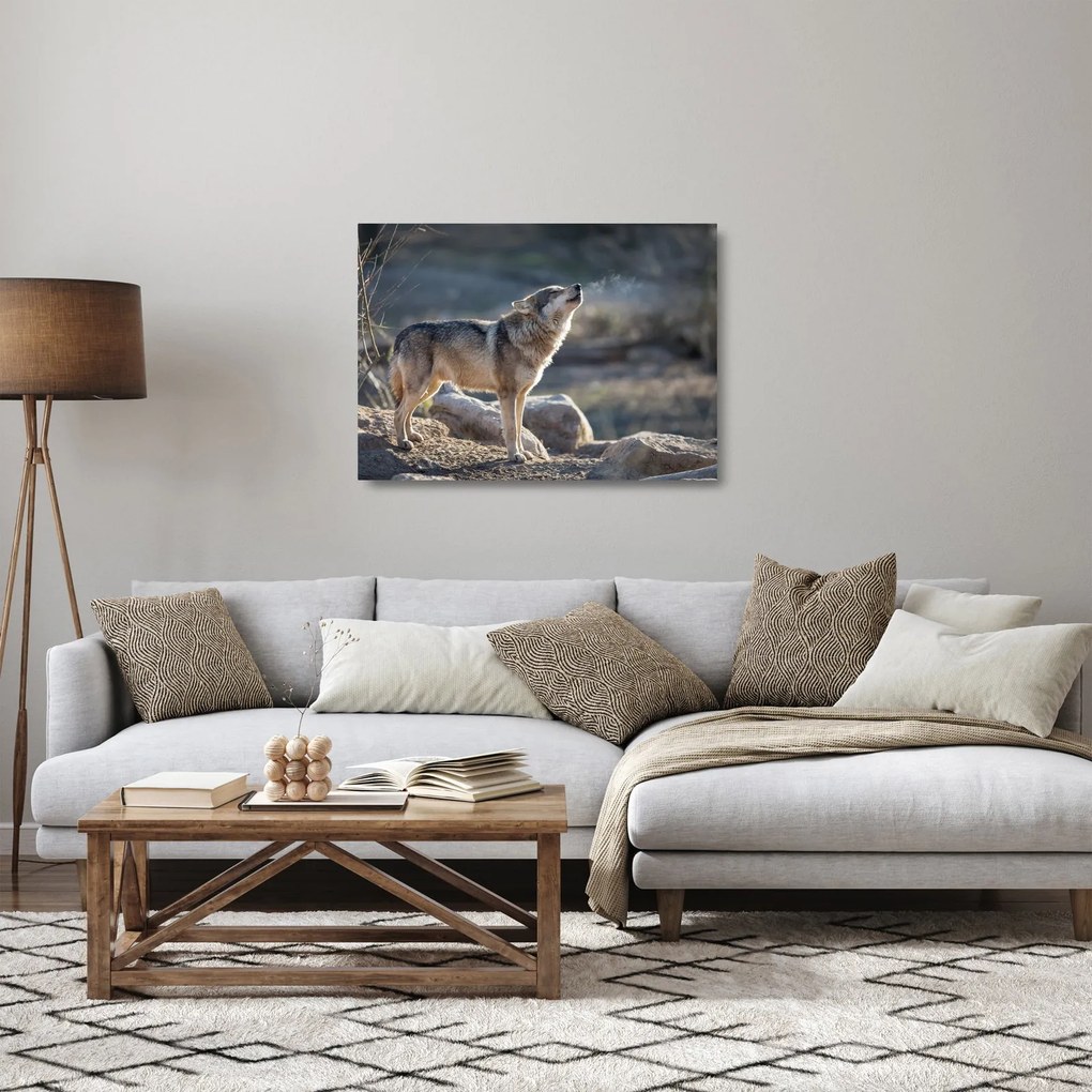 Üveg kép - Üvöltő farkas (70x50 cm)