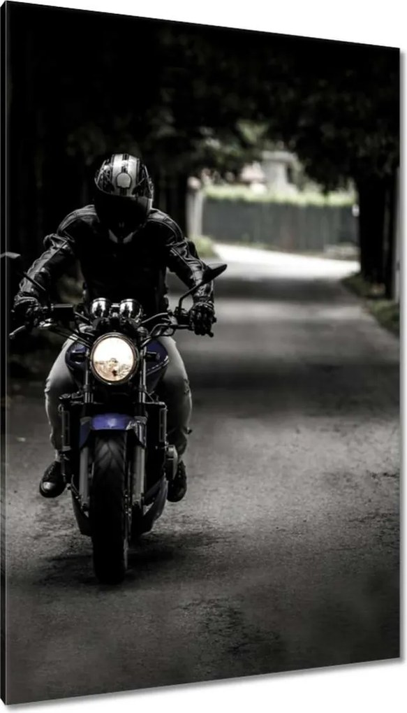 Vászonkép 80x120 Motoros tökéletes