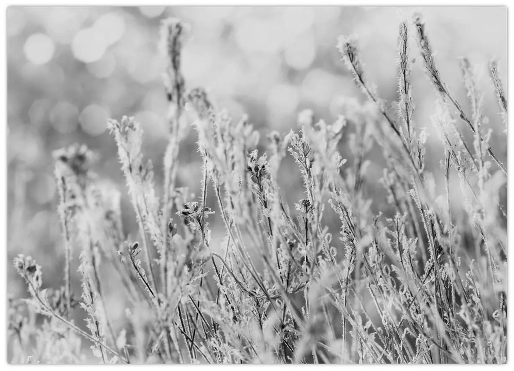 Kép - Hideg tél (70x50 cm)