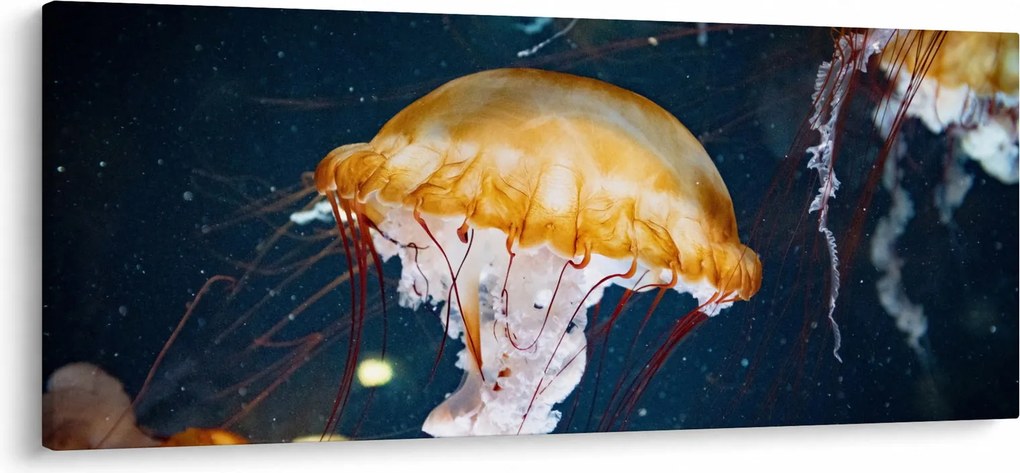 Medúza képe (120x50 cm)