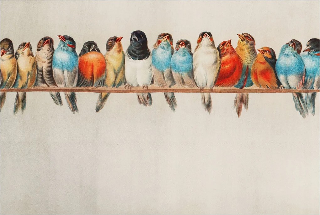 Flizelin tapéta Divatos 3D ragasztóval Fali Madarak az ágon 104x70 Ragasztó