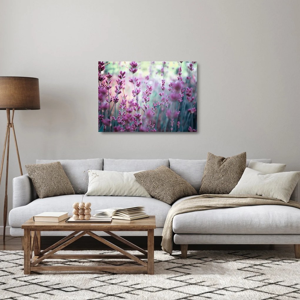 Kép - Levendula (üvegen) (70x50 cm)