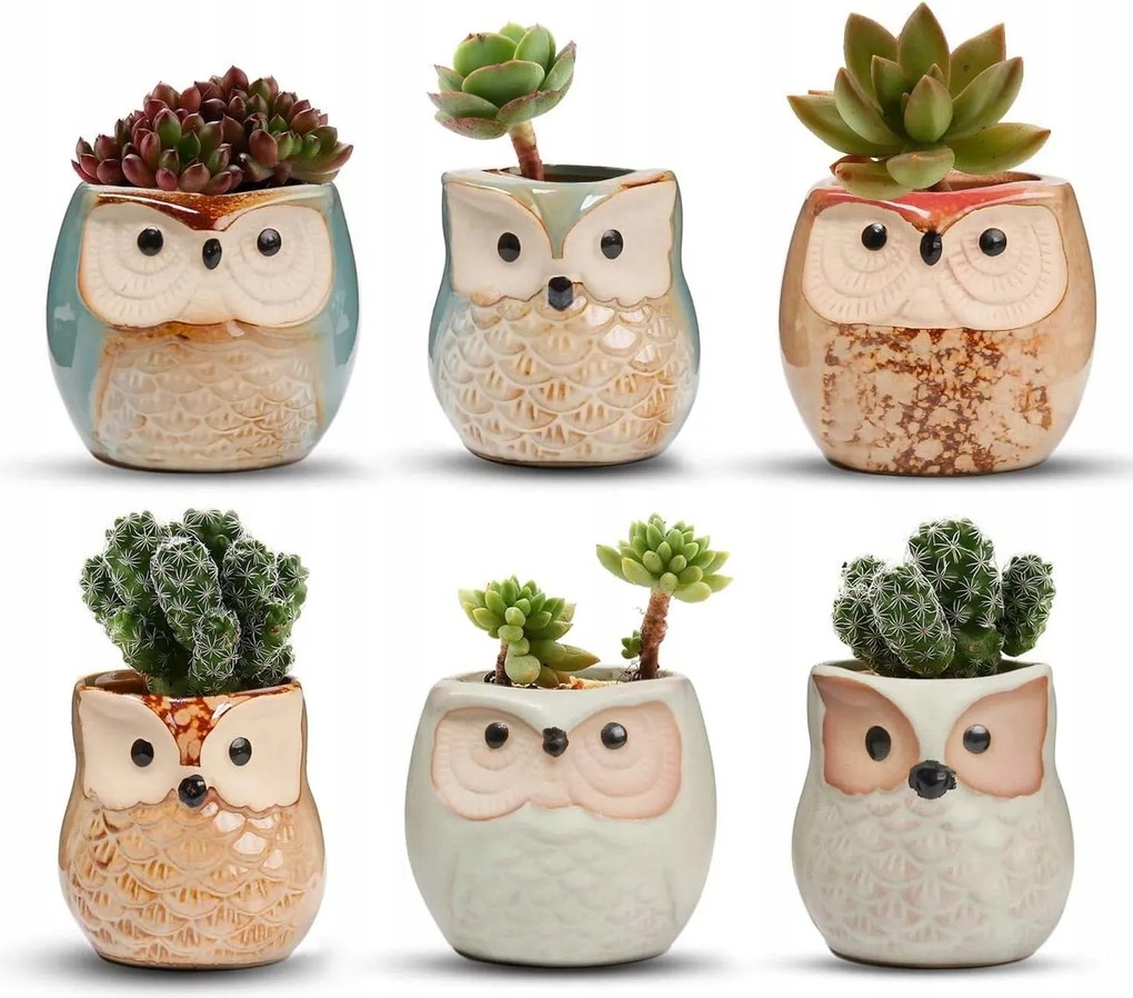 Kerámia Kaspók 6 Db Vízelvezető Nyílás Kerámia Baglyok Különböző