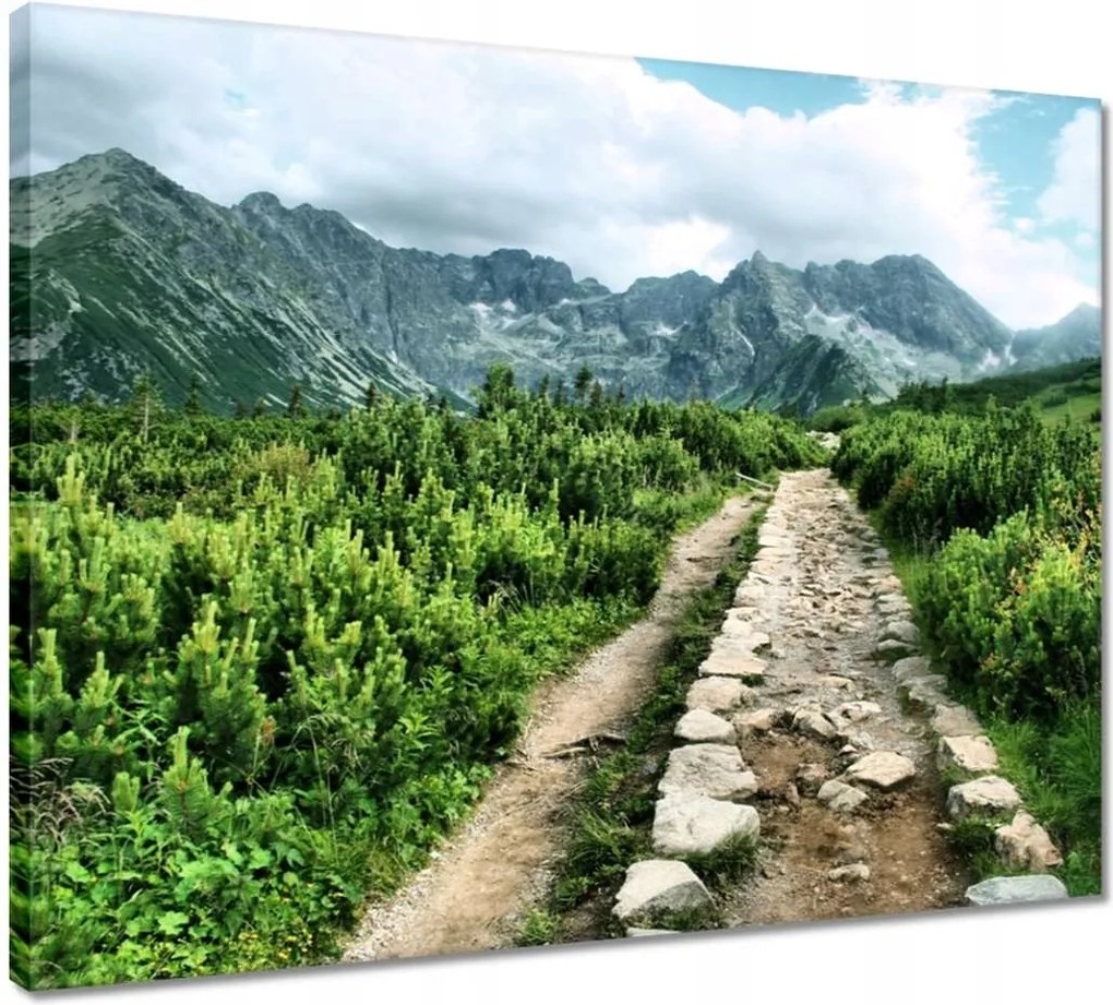 Vászonkép 50x40 Kő út Tátra