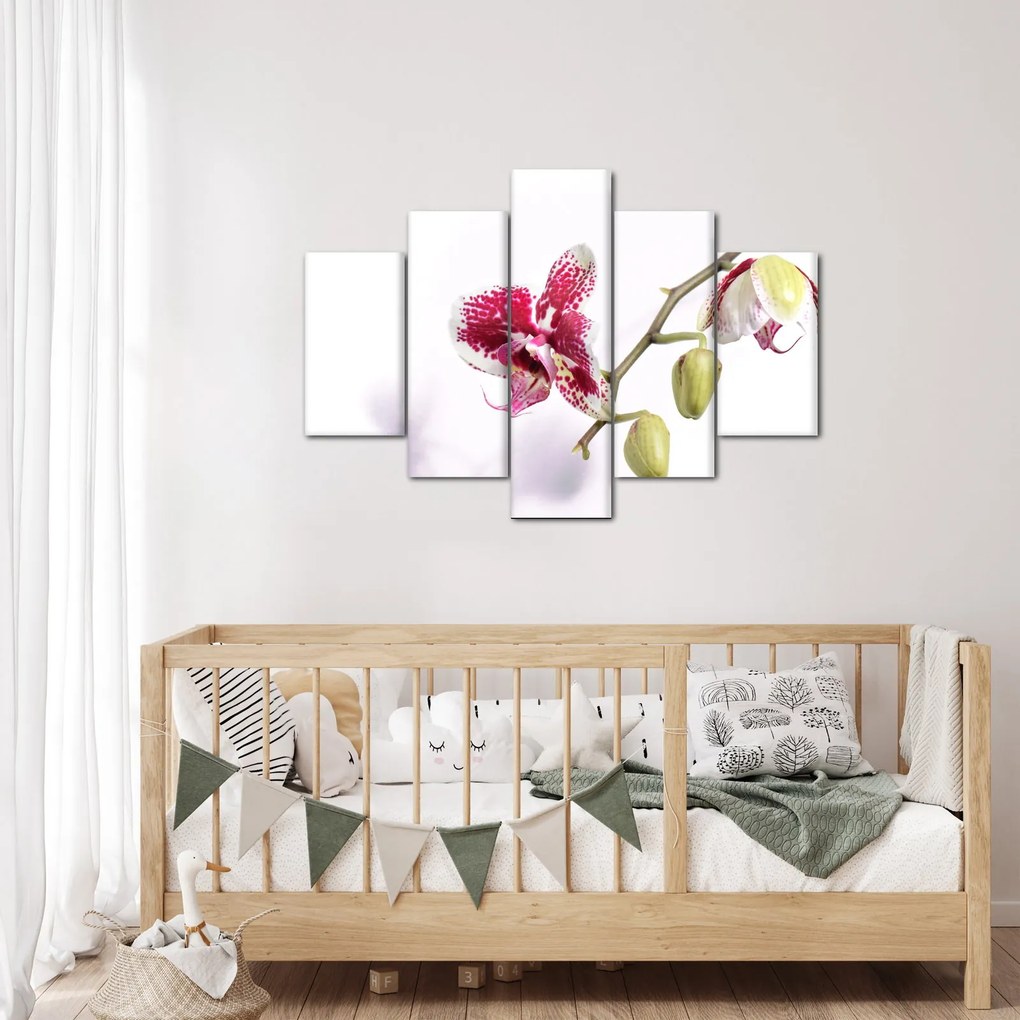 Orchidea virág képe (150x105 cm)