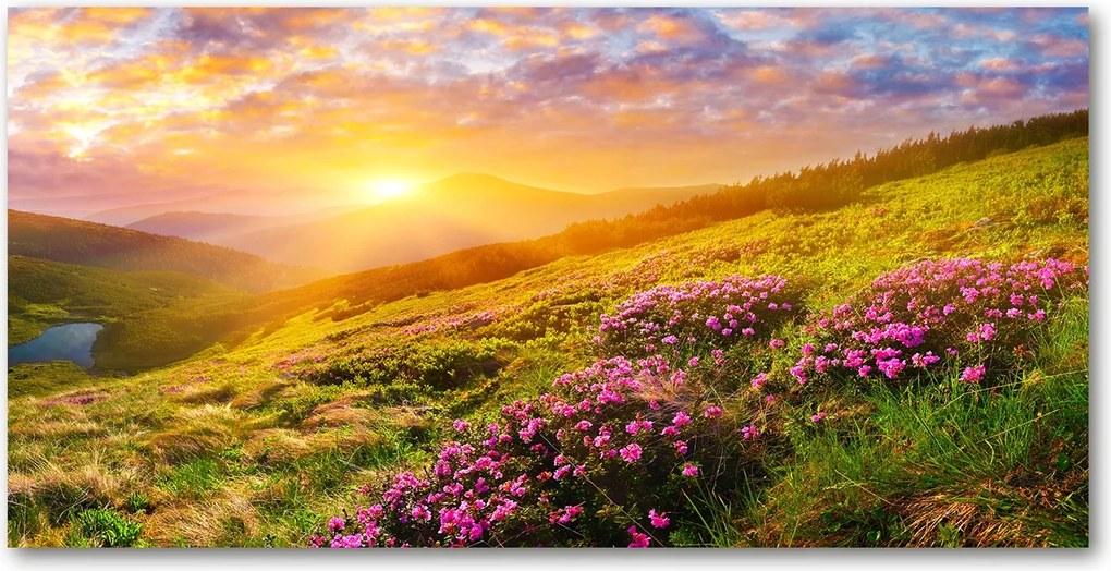 Fotó üveg kép Naplemente hegyek 140x70