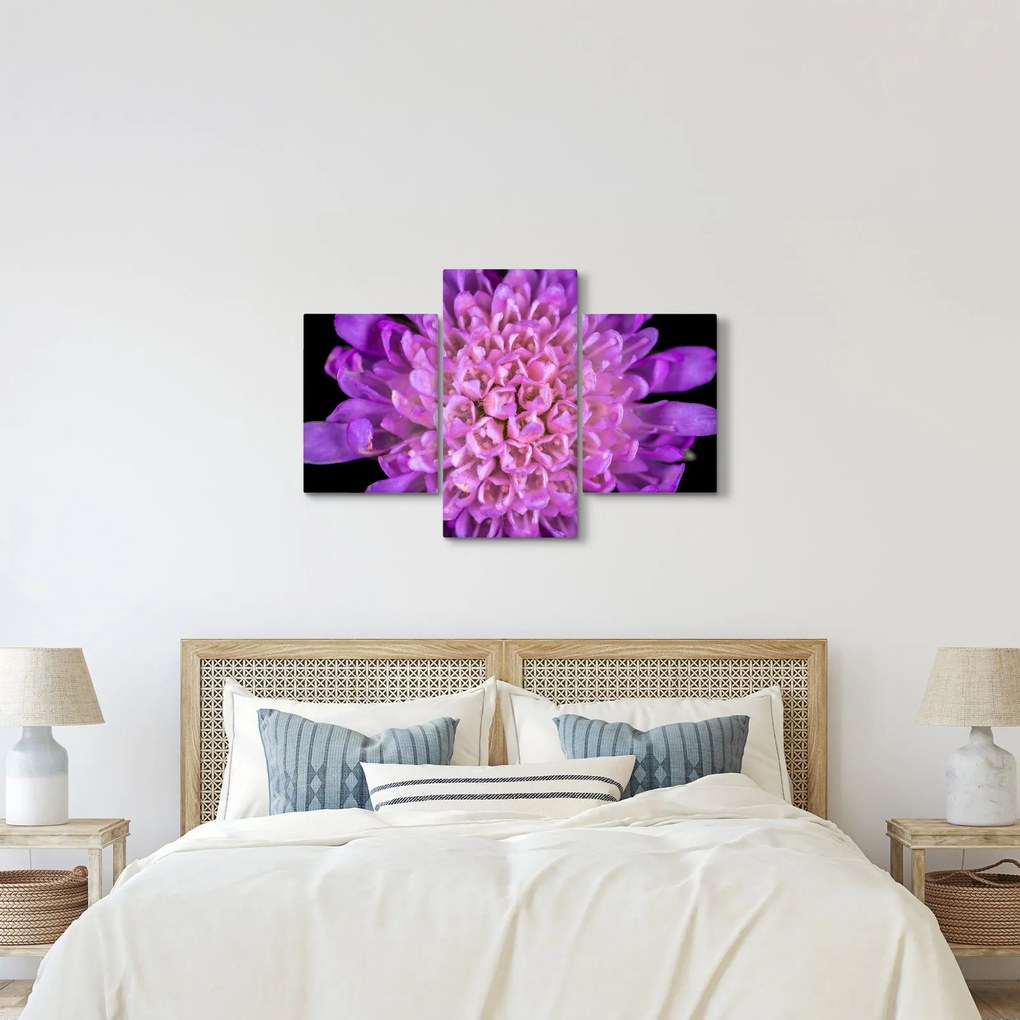 Részletes virágkép (90x60 cm)