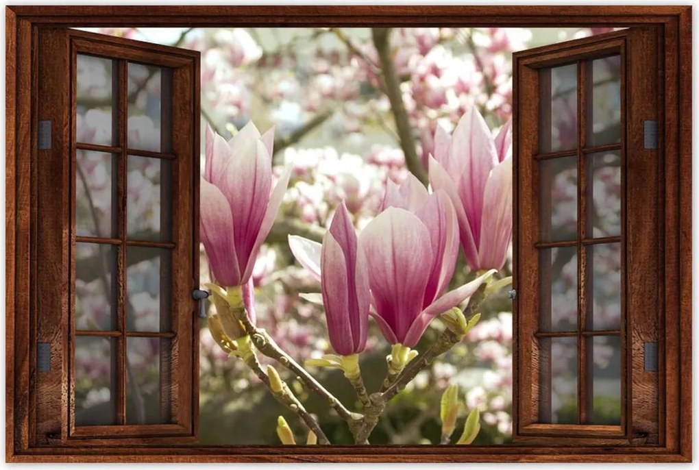 Poszterek 60x40 Magnólia