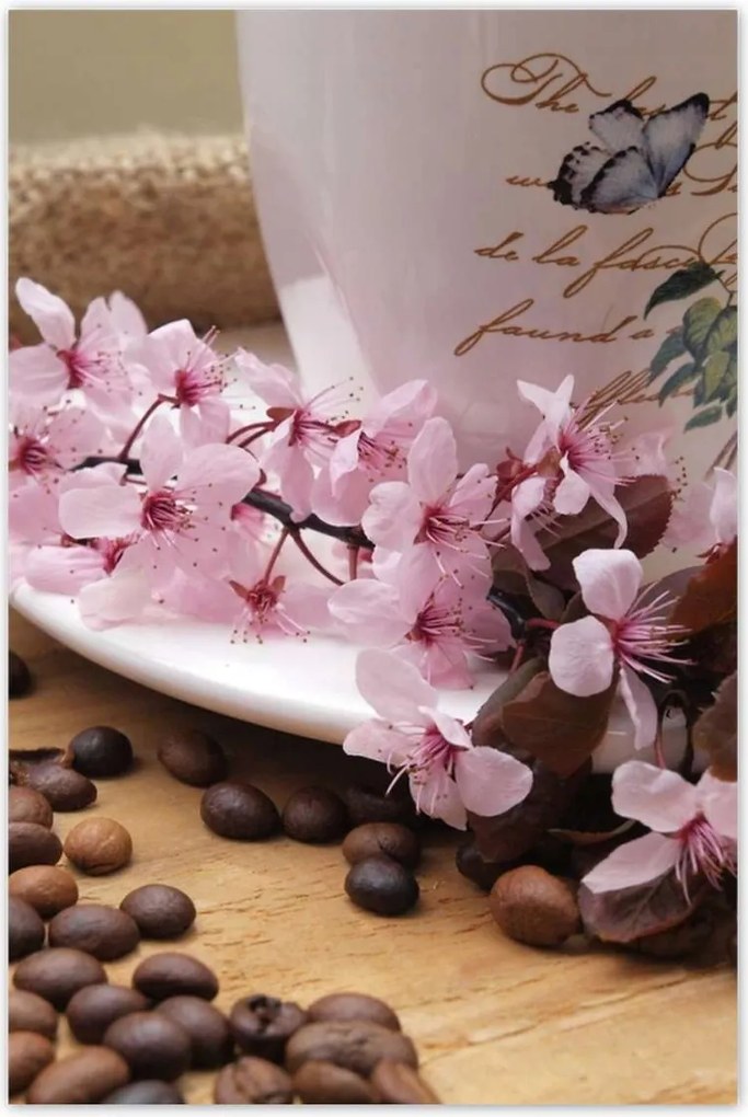 Poszterek 80x120 Cseresznyevirágos csésze