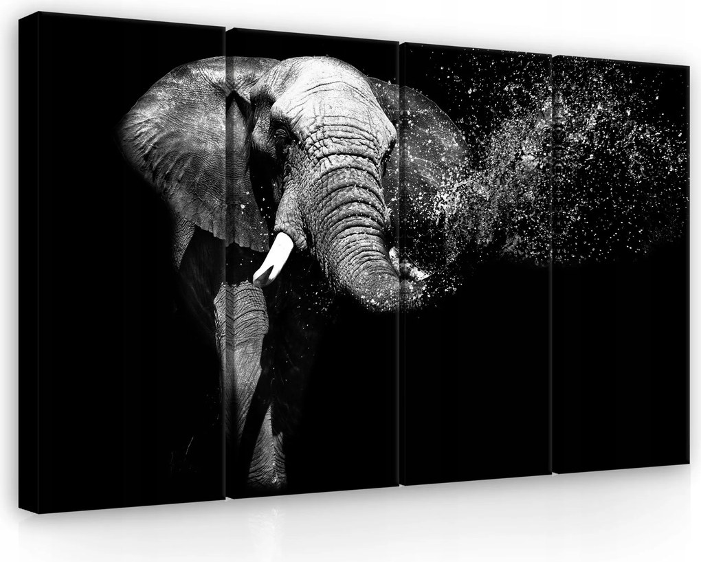 Vászonkép 120x80 Elefánt moduláris fekete-fehér erő természet állat energia
