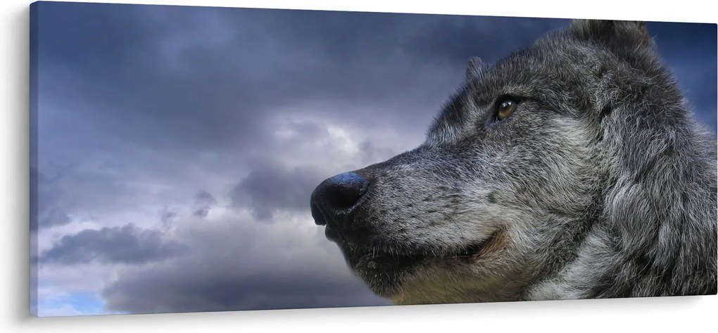 Kép - Farkas feje (120x50 cm)