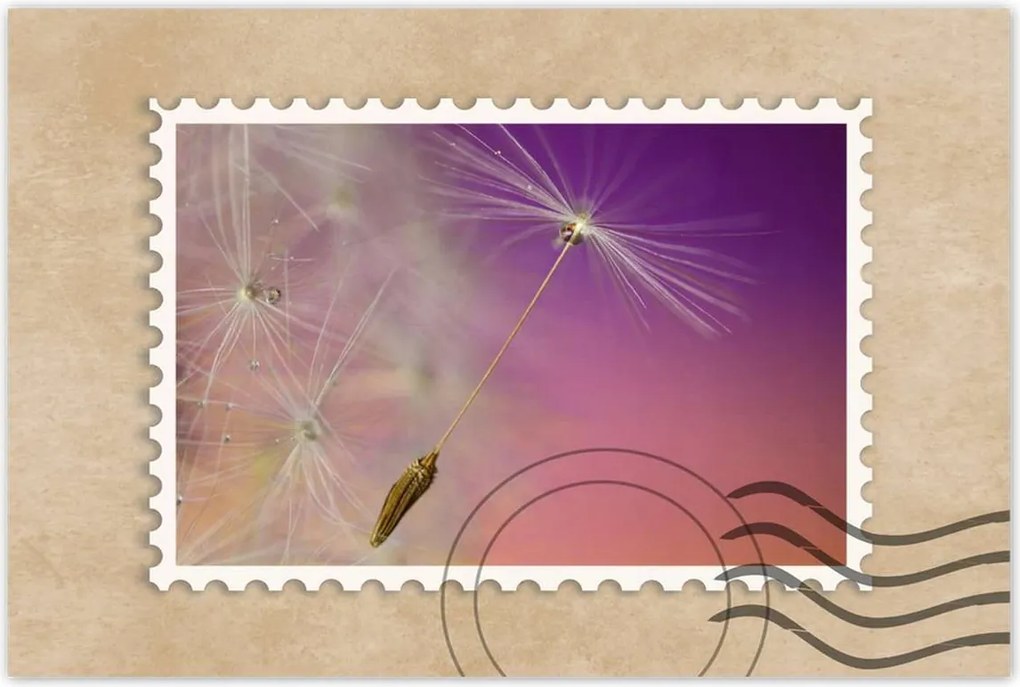 Poszterek 60x40 Pitypang Virág Virágok