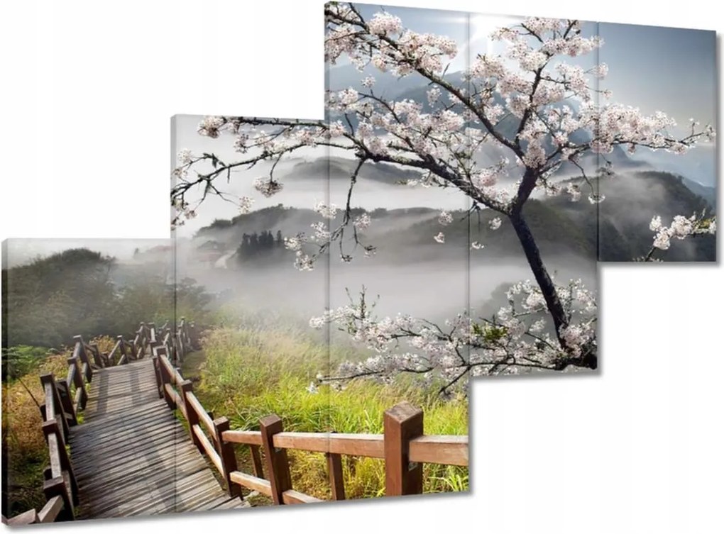 Képek 150x105 Japán Virágzó cseresznye