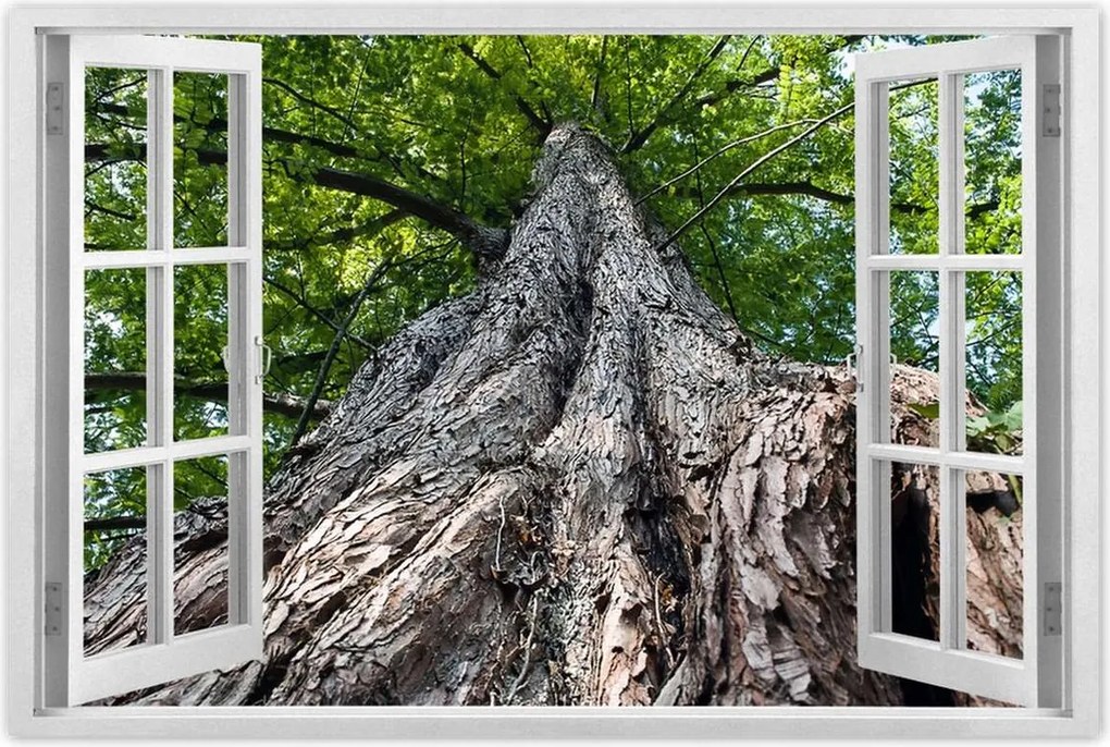 Poszterek 120x80 Fa Fák Kilátás