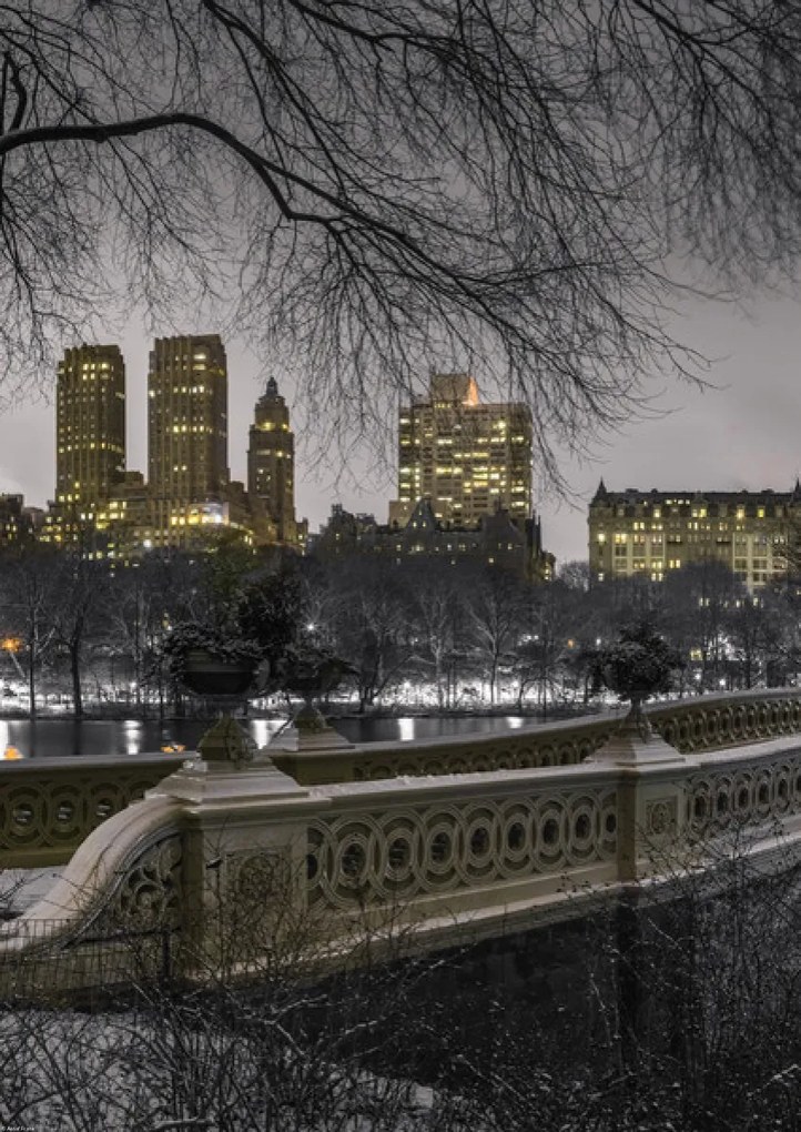 Poszter 42x59,4cm Központi park Manhattan panorámával, Assaf Frank