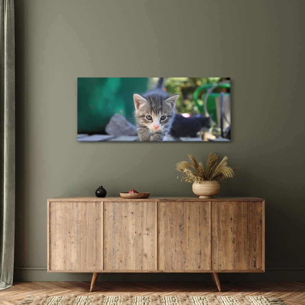 Cica képe (120x50 cm)