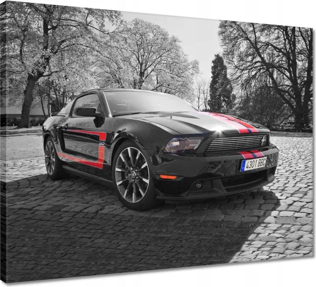 Vászonkép 50x40 Fekete Ford Mustang Usa