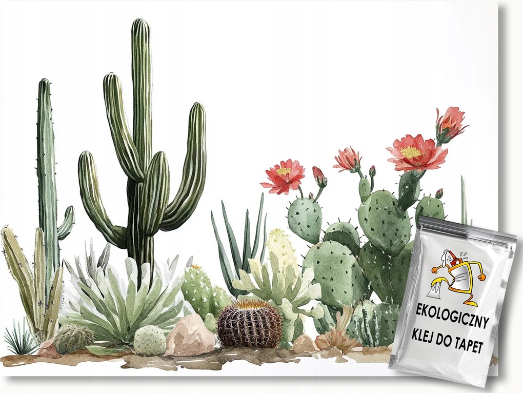 Fotótapéta Flizelina Grafika Növényzet Kaktuszok Virágok 104x70,5 ragasztó