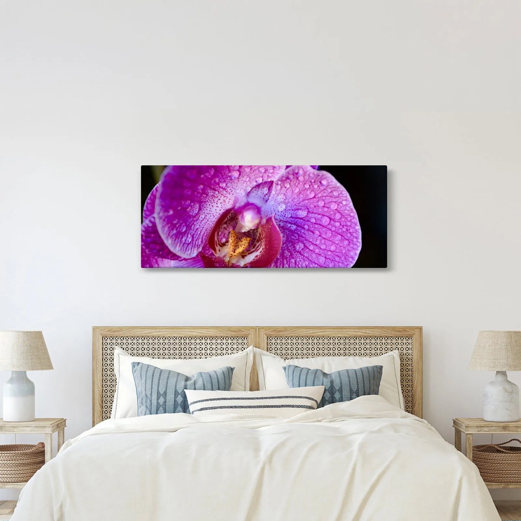 Részletes kép az orchidea virágról (120x50 cm)