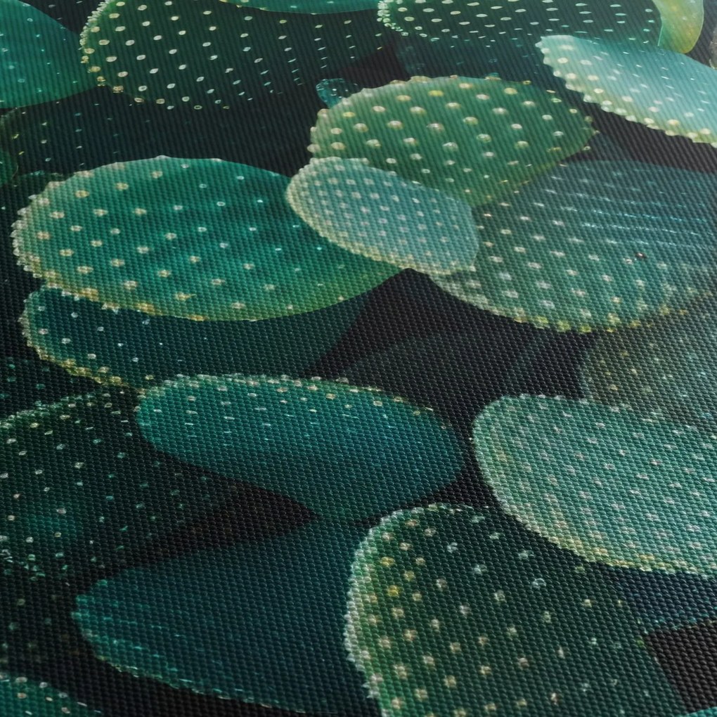 Kép - Opuntia (órával) (90x30 cm)