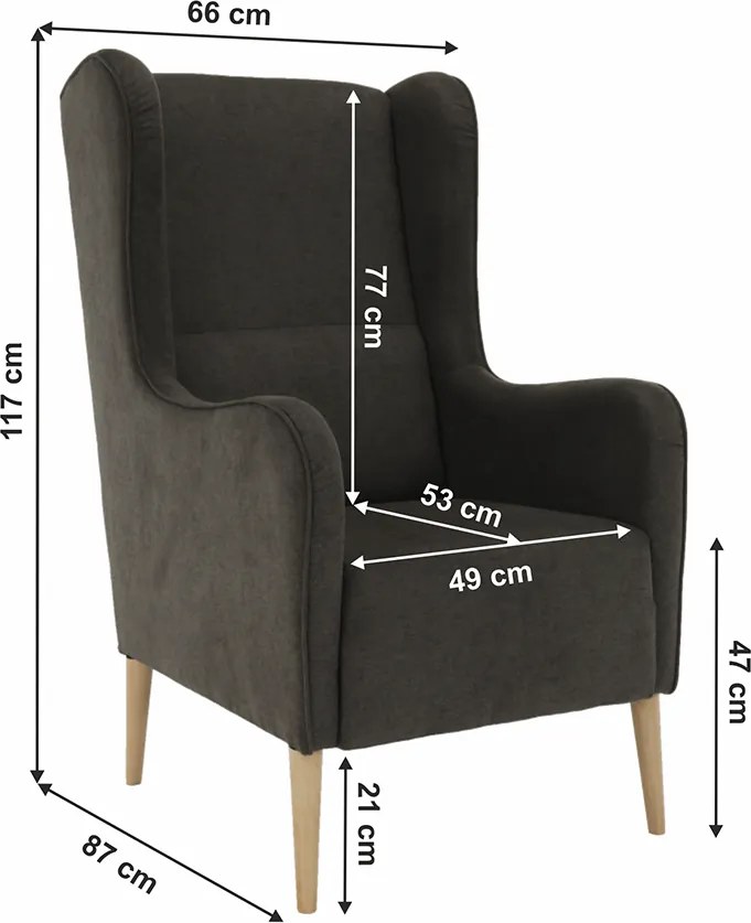 Kényelmes fotel, barna/bükk, BREDLY