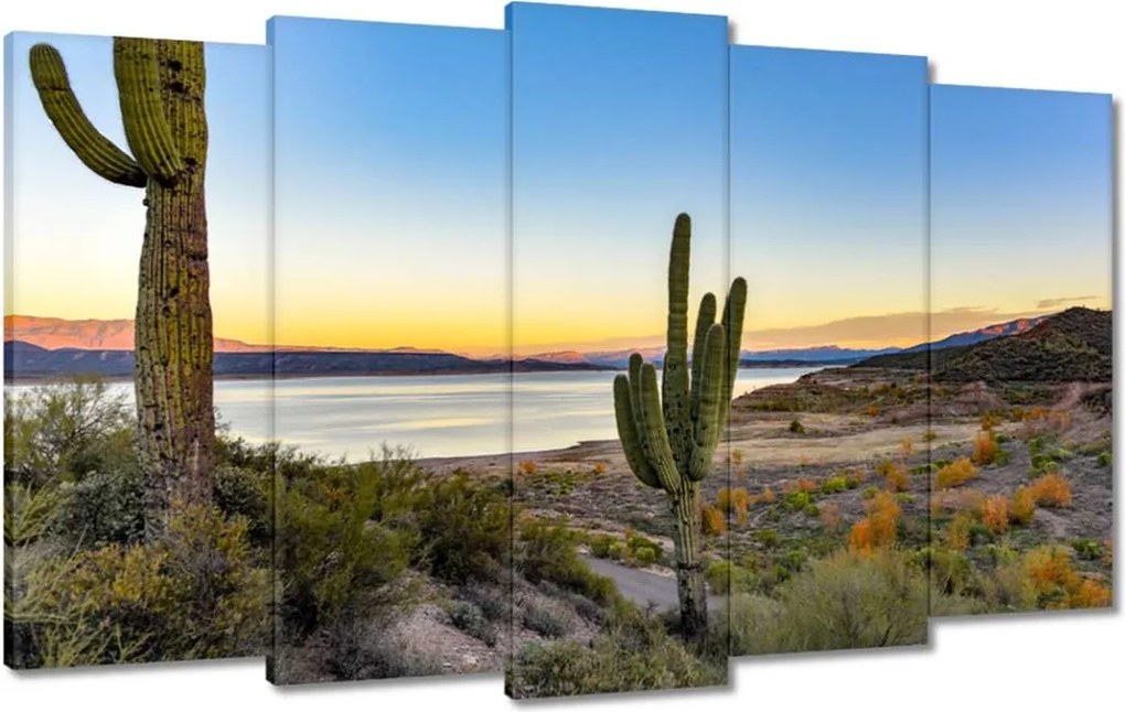 Képek 100x60 Kaktuszok a sivatagban