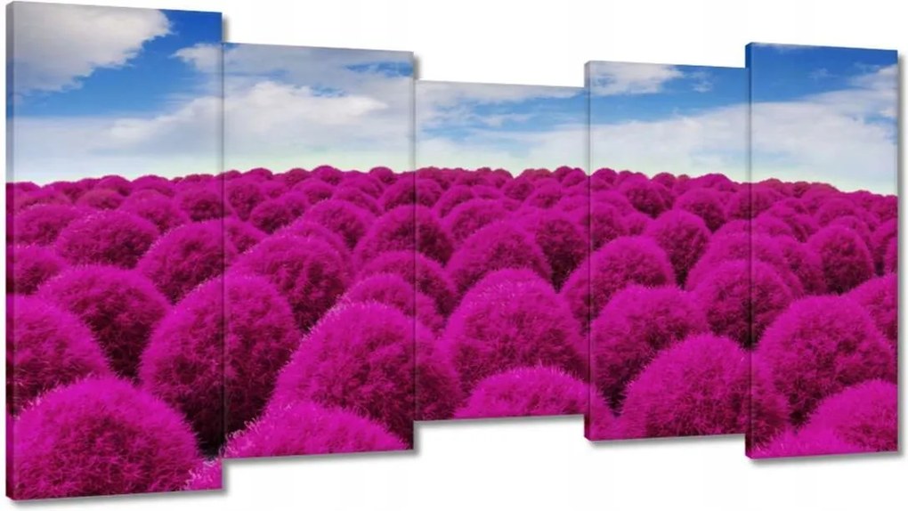 Festmények 150x80 Kifejező rét Tájkép